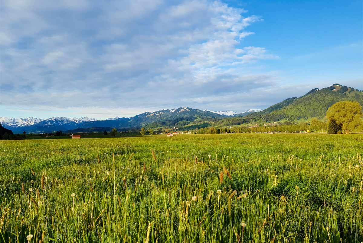 Aussicht in die Alpen